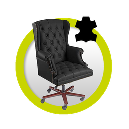 [SPE] Sillon De Piel Ejecutivo Limpieza